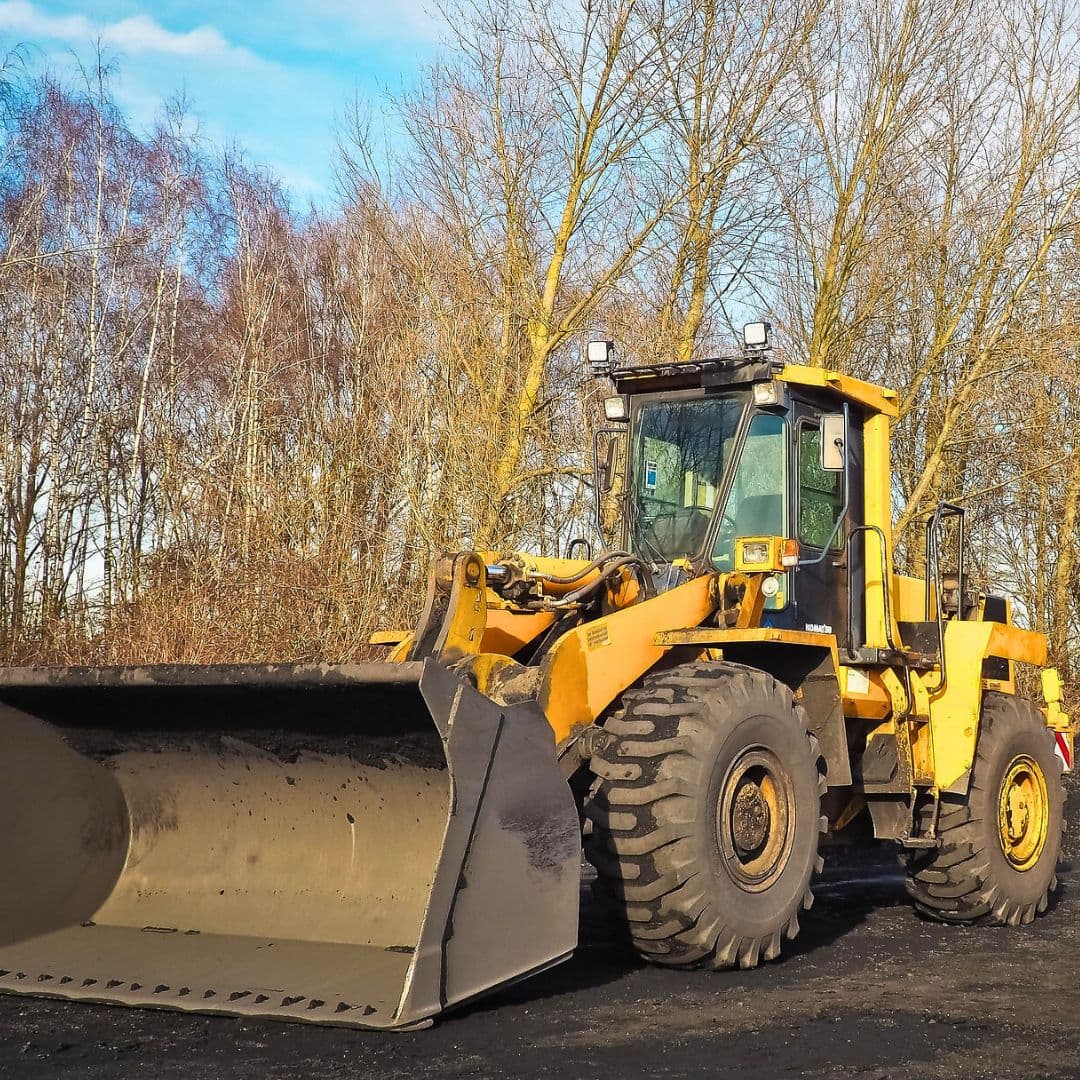 A yellow wheel loader with a large front bucket is parked on a dirt surface, surrounded by leafless trees under a bright sky